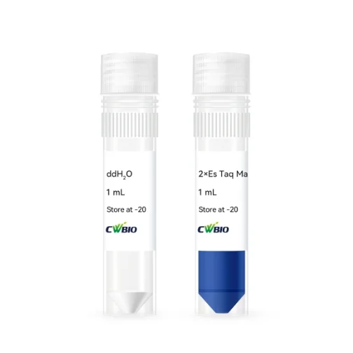 2×Es Taq MasterMix(Dye)