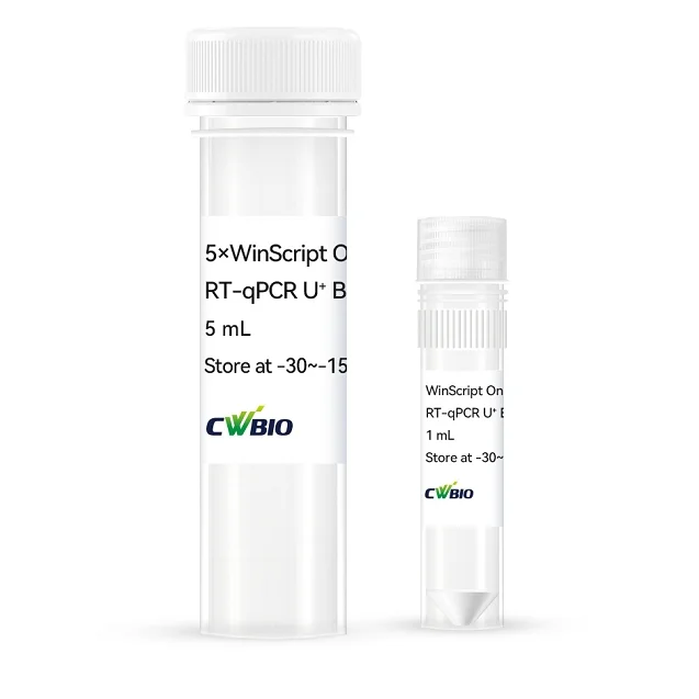 WinScript One Step RT-qPCR U⁺ Kit