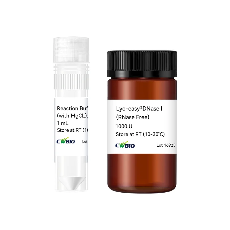 Lyo-easy® DNase I (RNase Free)