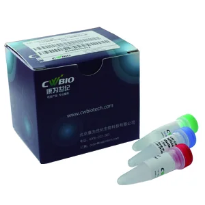 Single Cell WGA Kit