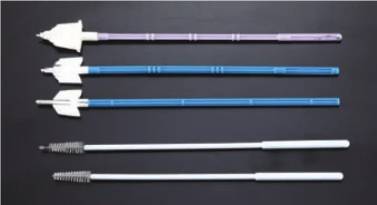 Pap Smear Kit: Cervical Brush & Container